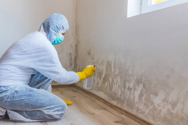 Licensed Mold Testing service in Thorofare, NJ - WQB Mold Removal