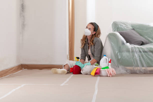 Reliable Mold Testing contractor in Thorofare, NJ by WQB Mold Removal